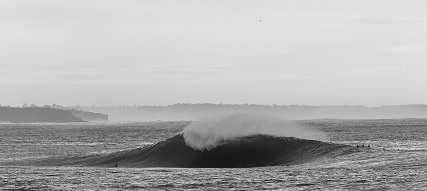 Ocean-8843