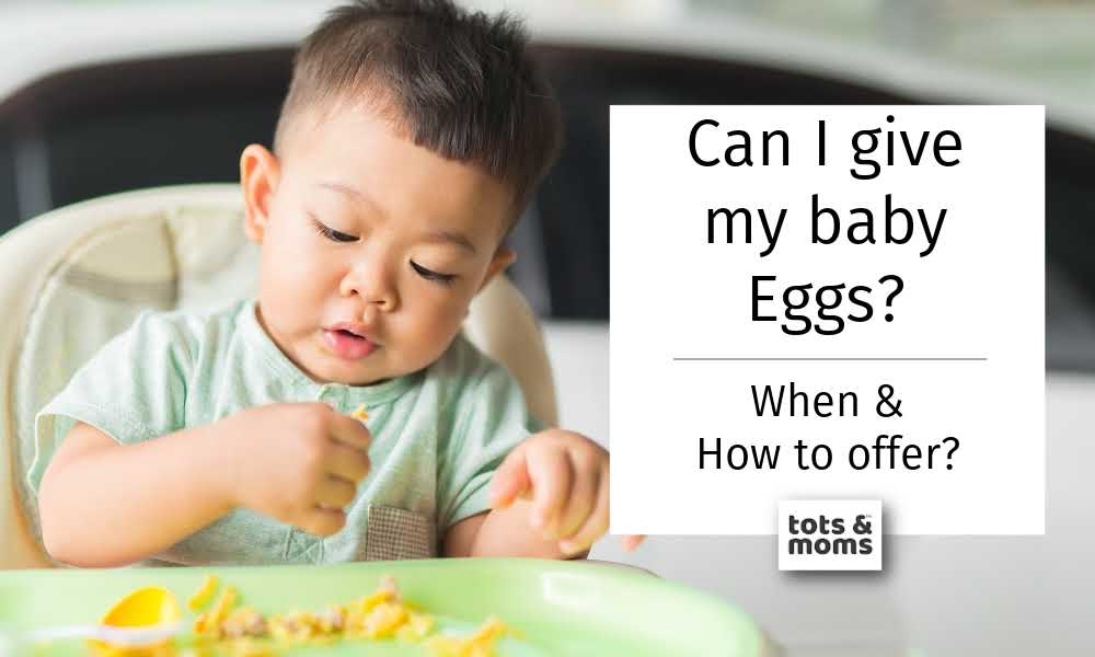 Can I give my baby Eggs?