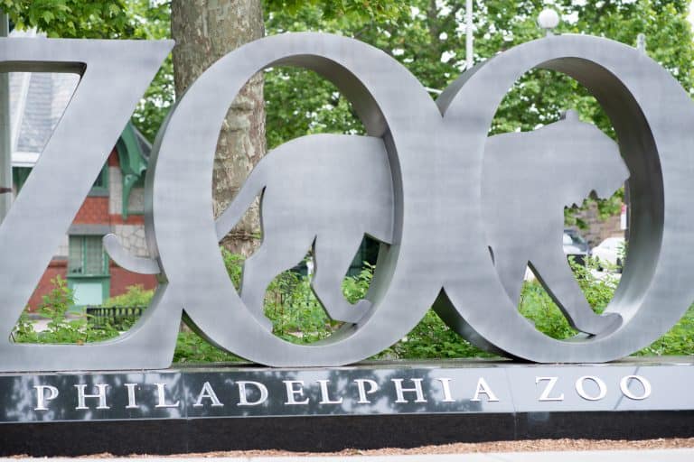 The Top 10 Best Zoos in the USA for 2020 Trekaroo Family Travel Blog