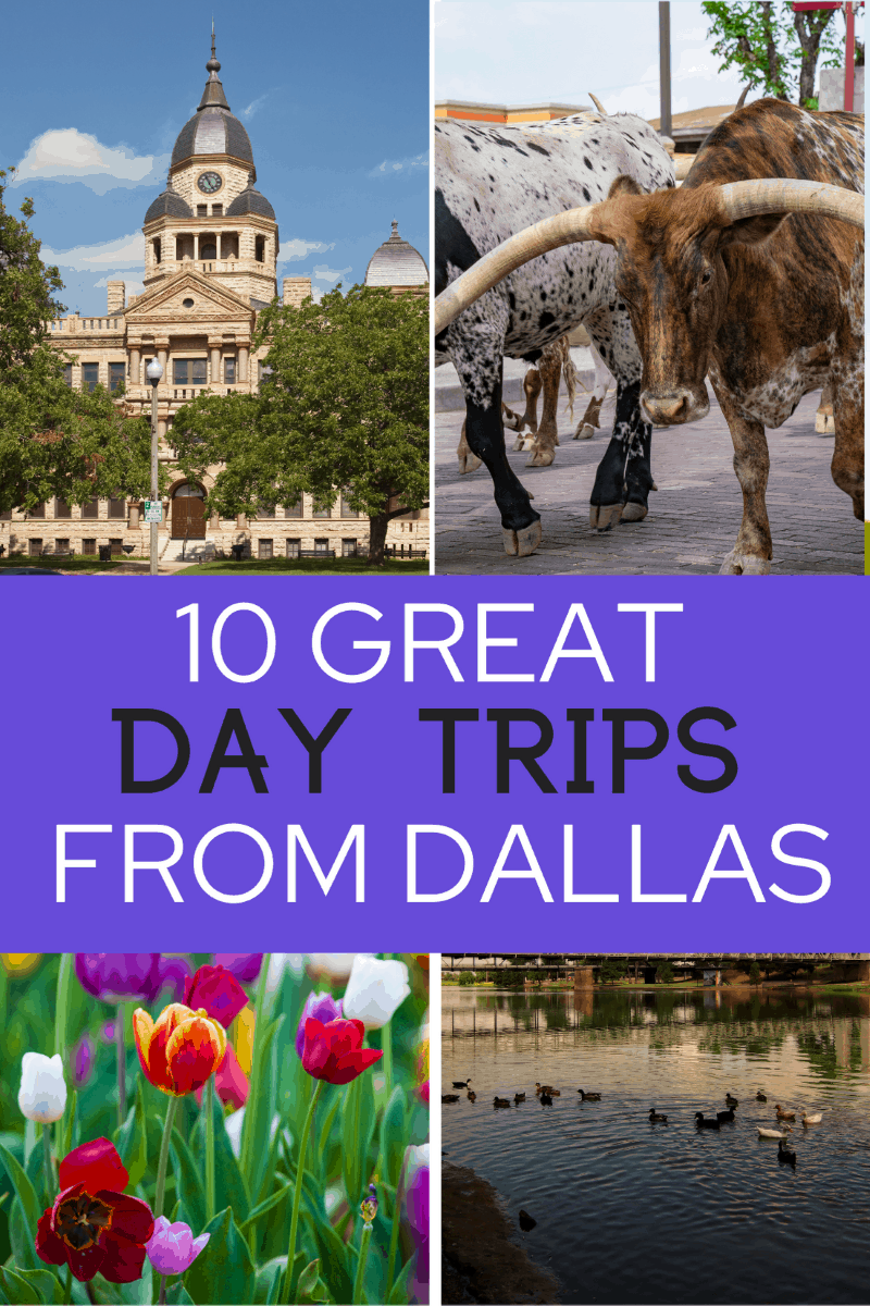 Web galveston, texas san antonio, texas lafayette, louisiana memphis, tennessee more interesting road trips to take from dallas best road trips from dallas, texas but with so many options what are the best road trips from dallas? 10 Best Day Trips from Dallas, TX for Families