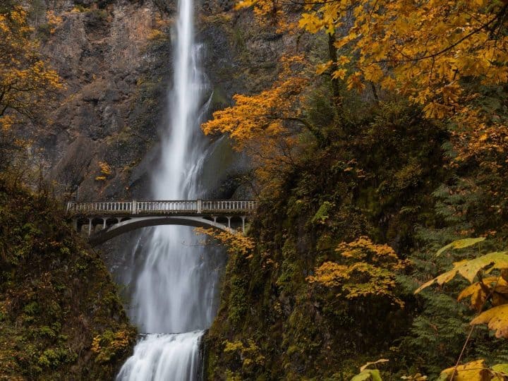 Oregon Archives Trekaroo Family Travel Blog