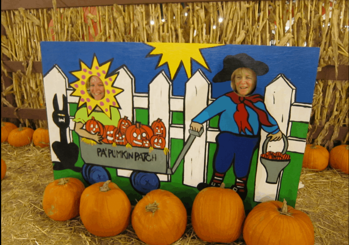 8 Great Pumpkin Patches in Orange County for 2022