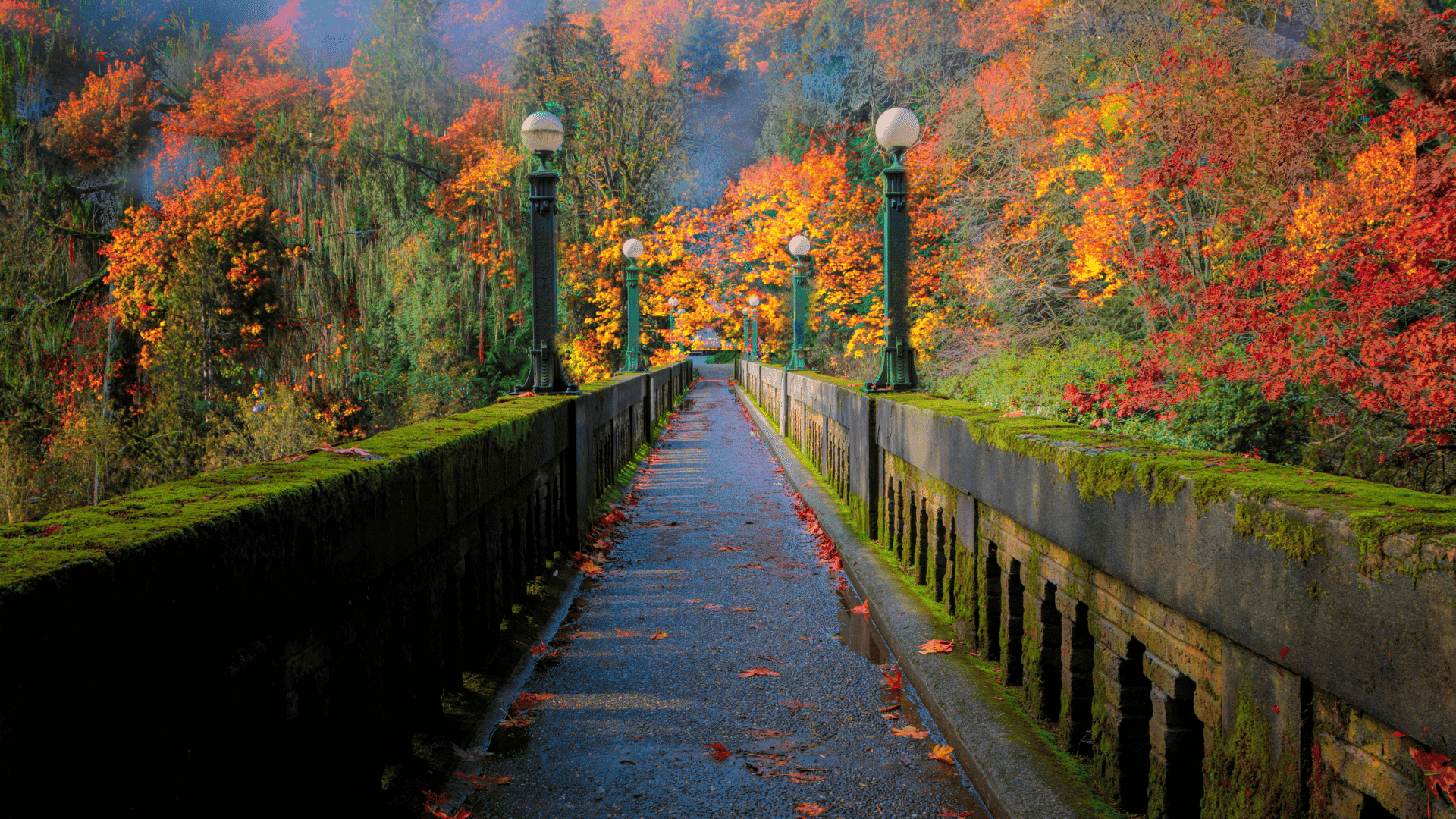 Fall in Seattle 14 Top Spots to Enjoy Seattle Fall Colors