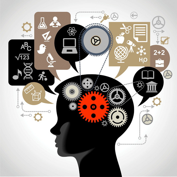 Psychometric Assessments What Are They & Why Are They Important?