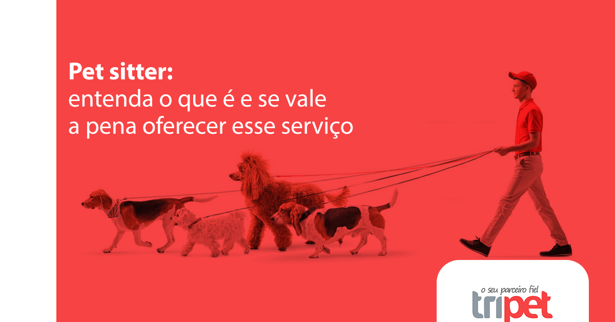 Pet sitter entenda o que é e se vale a pena oferecer esse serviço
