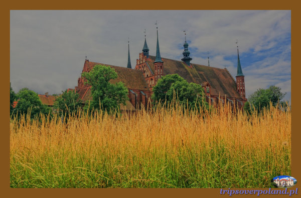 Frombork'2014