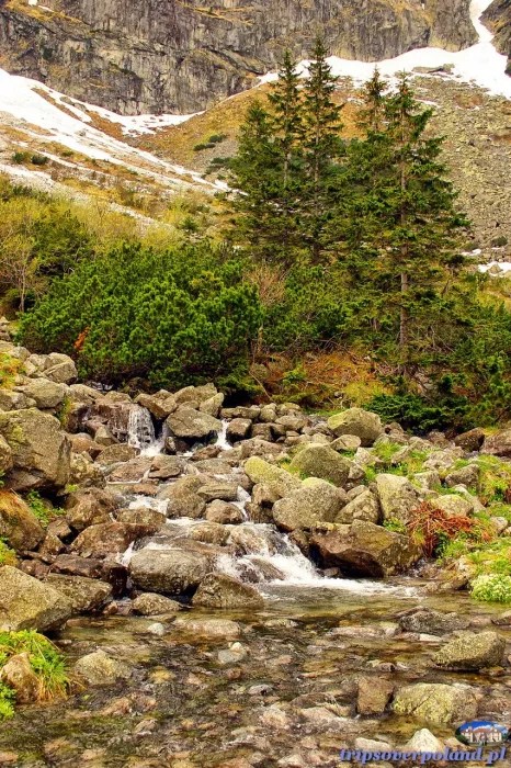 Tatry - Jezioro Morskie Oko