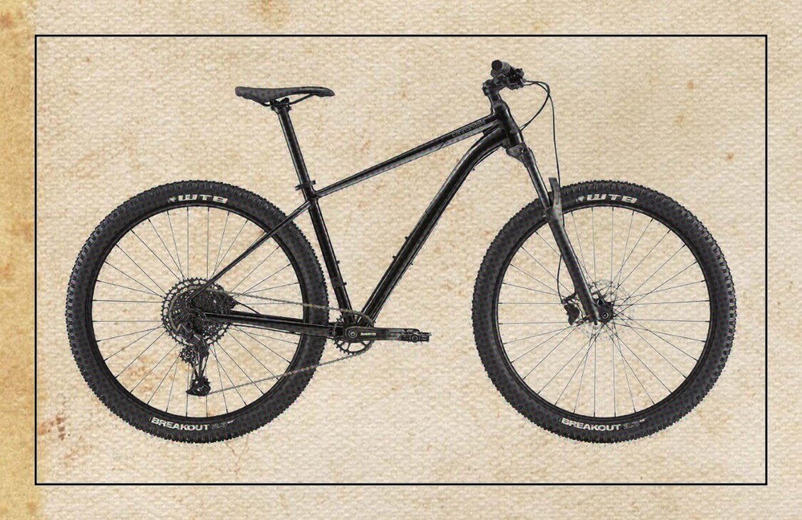 Top 15 mountain bikes under £1000 Best Hardtail MTBs for the money