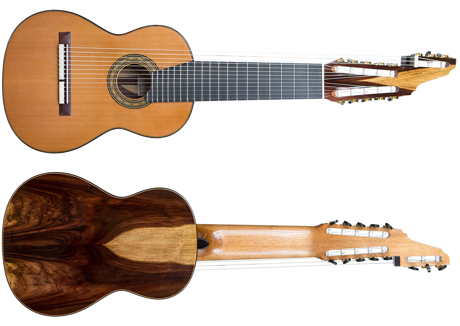 Watch This Beautiful Classical Performance on a 13String Guitar