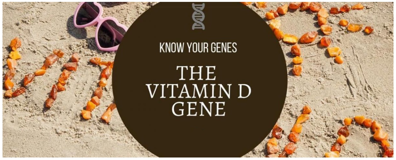 Vitamin D & How They Are Correlated? Autumn DNA Blog