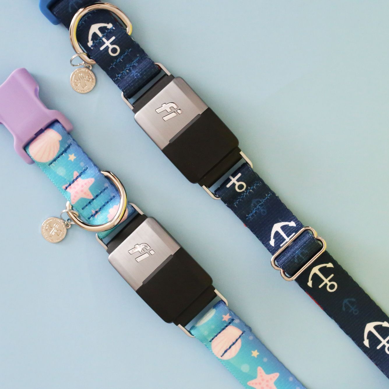 Fi Makers Collars Your Pup Needs This Summer
