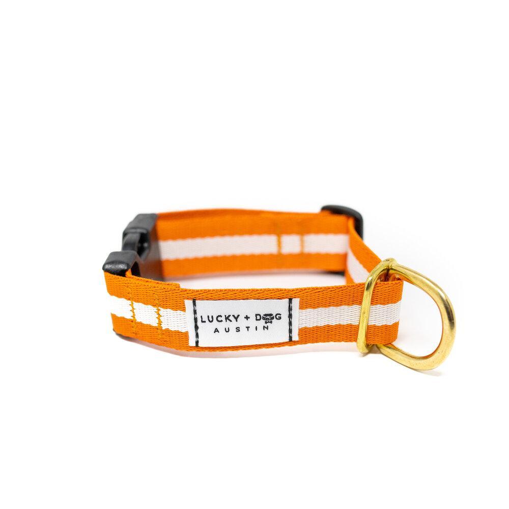 Orange Dog Collar Dog Gear You Need