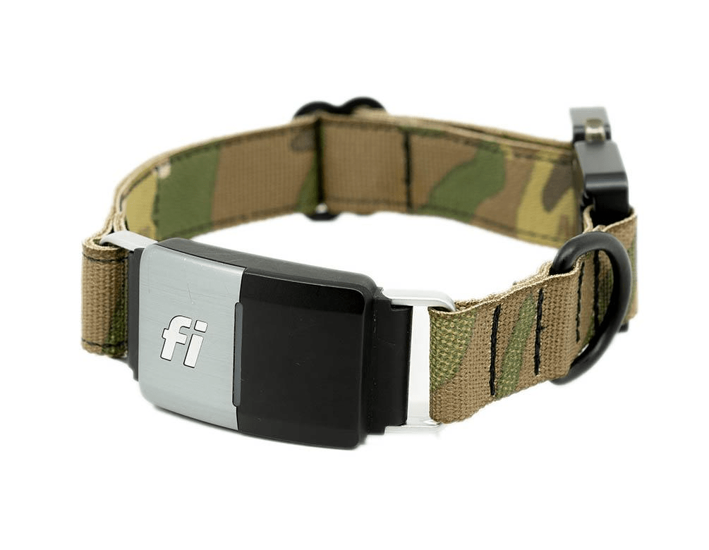 Camo Dog Collar Dog Gear You Need