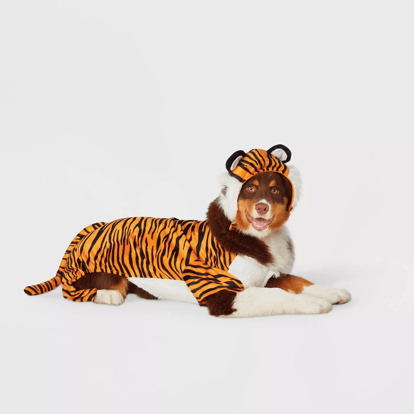 Get Ready For Our List Of Our Favorite Dog Tiger Costumes!