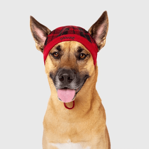 Check Out These Super Cute Dog Christmas Hats!