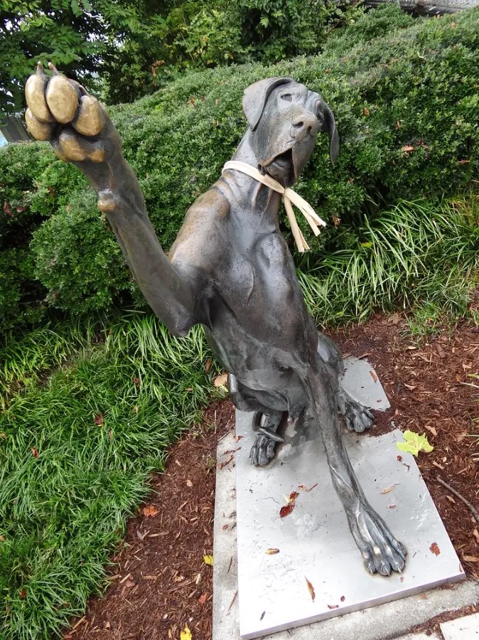 Who is a Gold Boy? These Dog Statues Stay Bright From Pets.