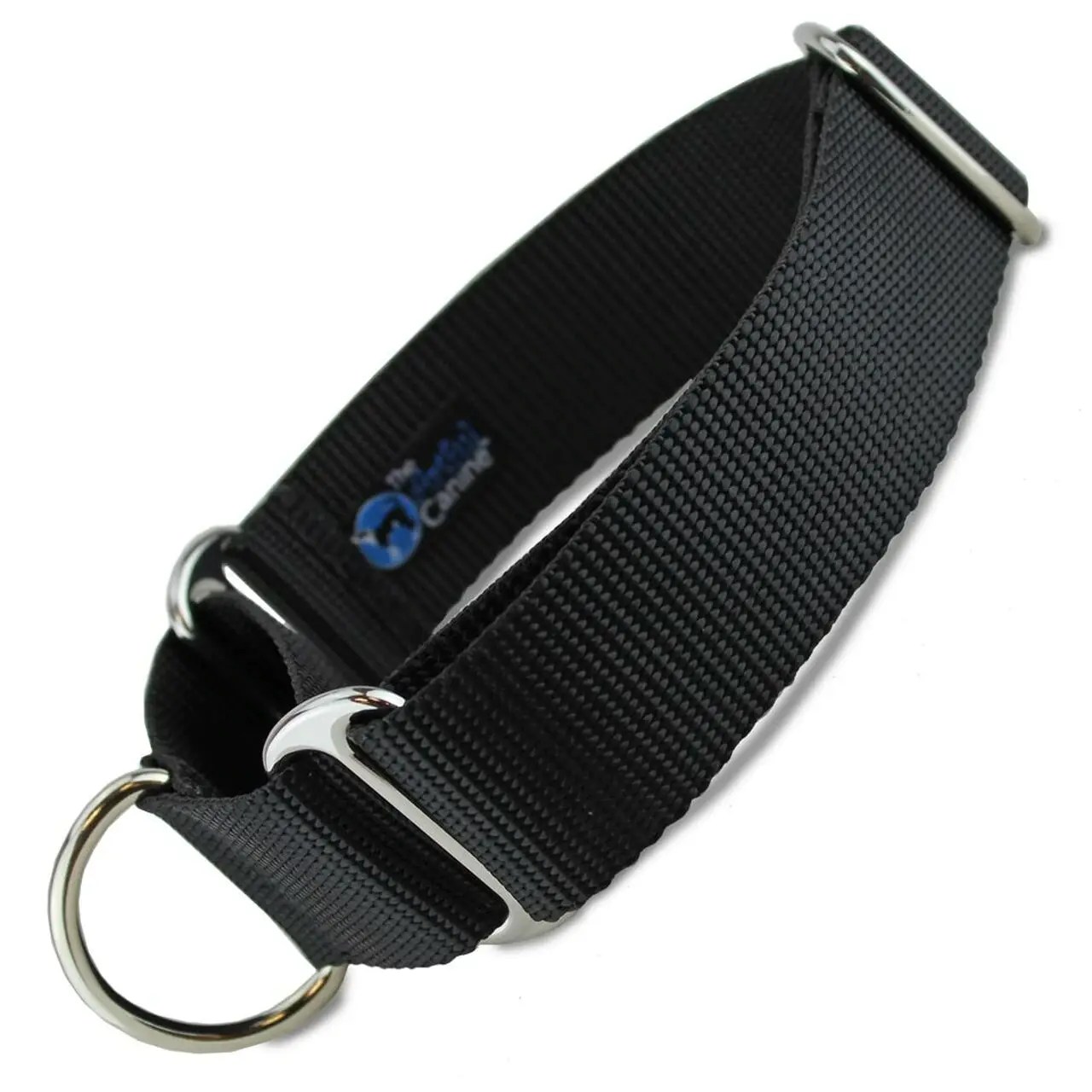 The Top Pitbull Collars For a Strong Pitbull