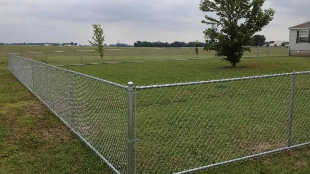 How Far Apart Should Fence Posts Be for Dogs A Guide