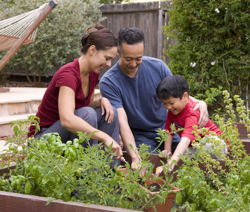 Family_garden Tuneeca Blog