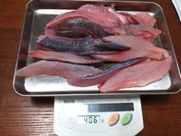 グルクンのさばき方 初心者でも簡単に美味しいお刺身を作る方法 釣りごろ 沖縄しあわせ生活