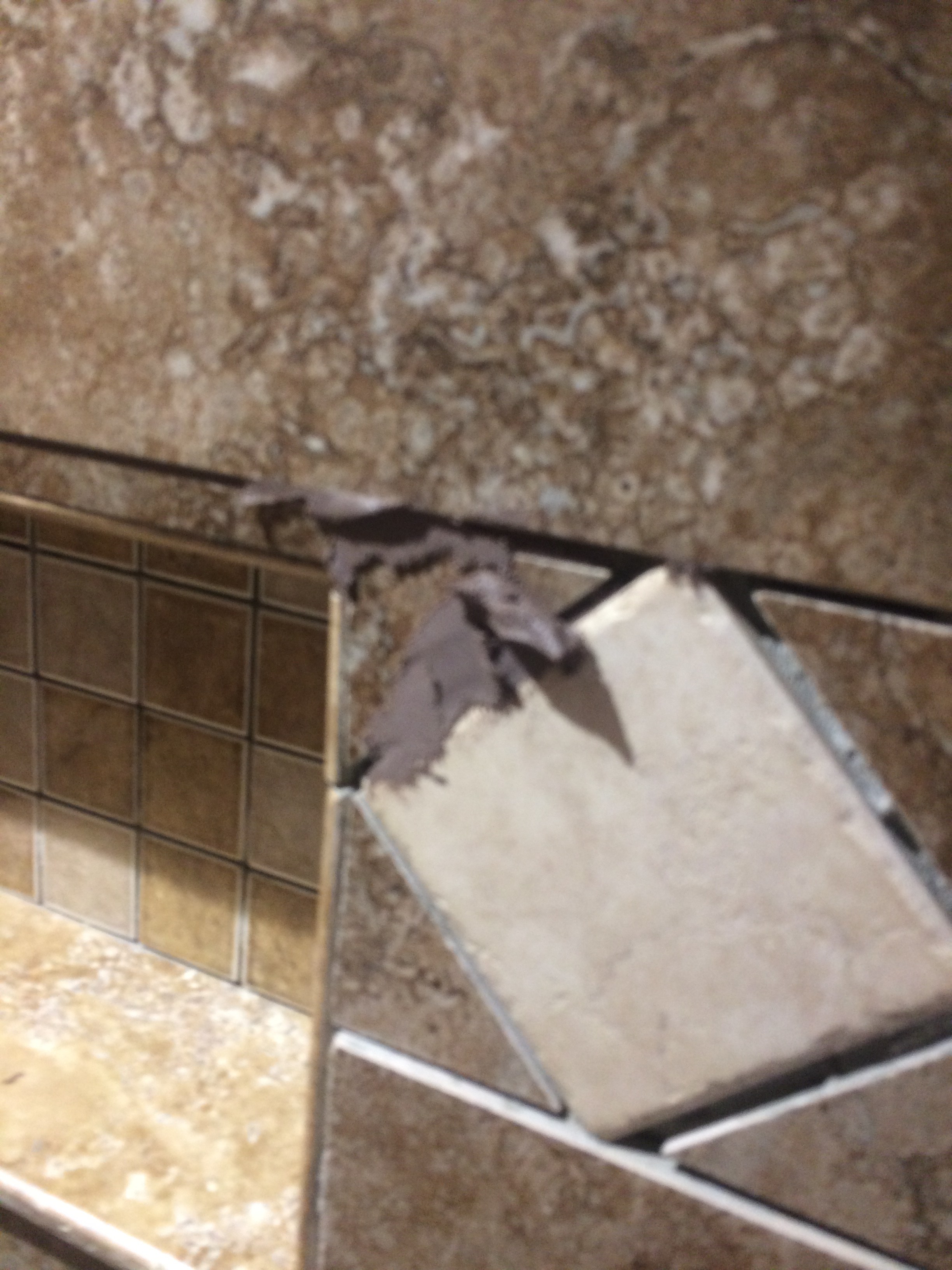 Puttylike grout Twinsprings Research Institute