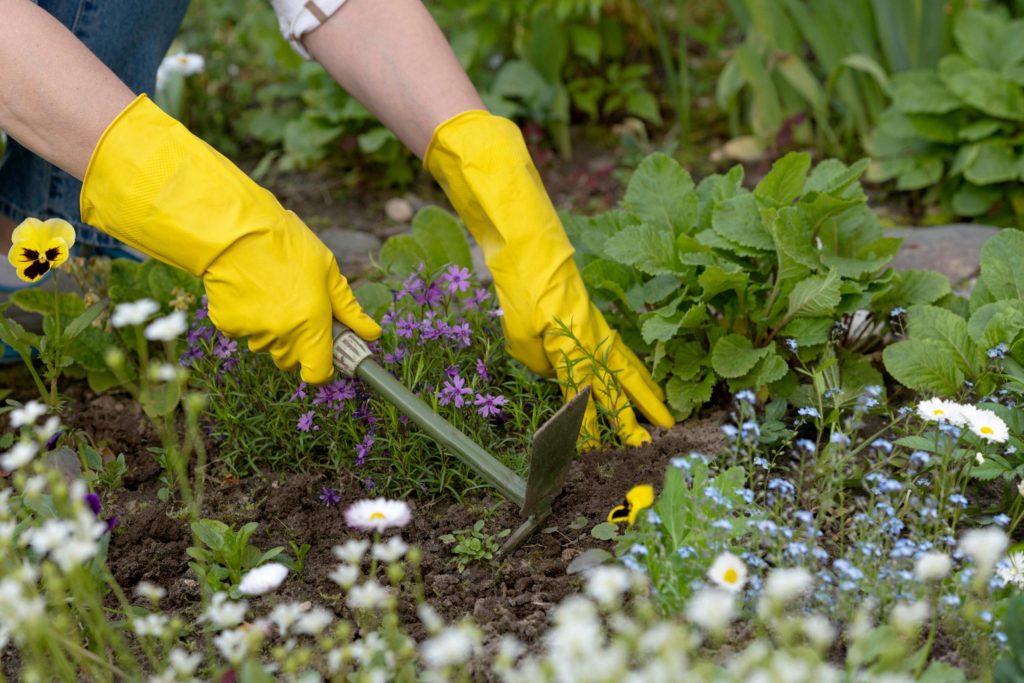 Roundup Spring Gardening in Texas Texas Heritage for Living