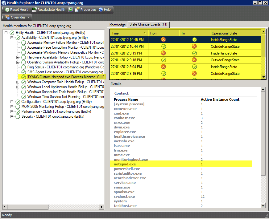 Monitoring an Interactive Process and The Recovery Task