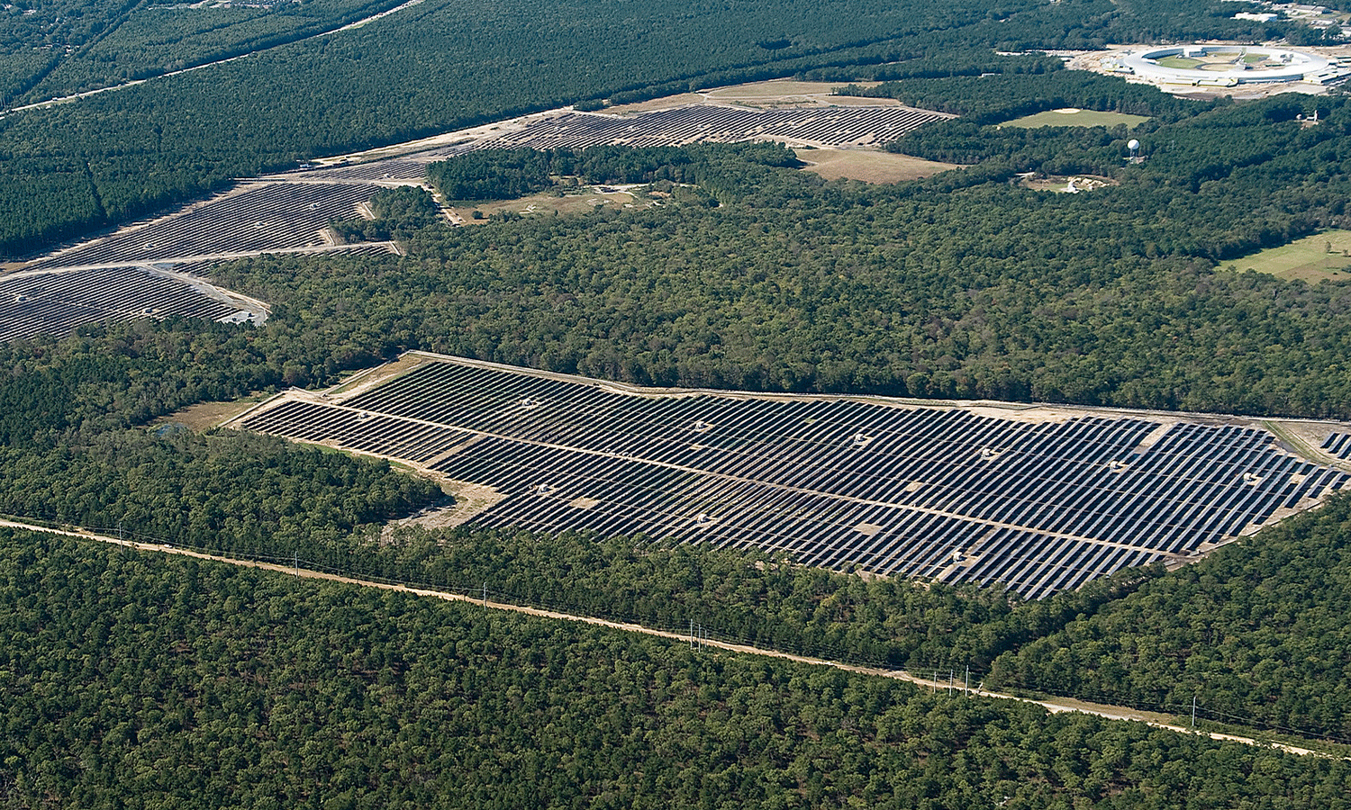 When Slowing Global Warming Means Cutting Down Trees Hard Choices in