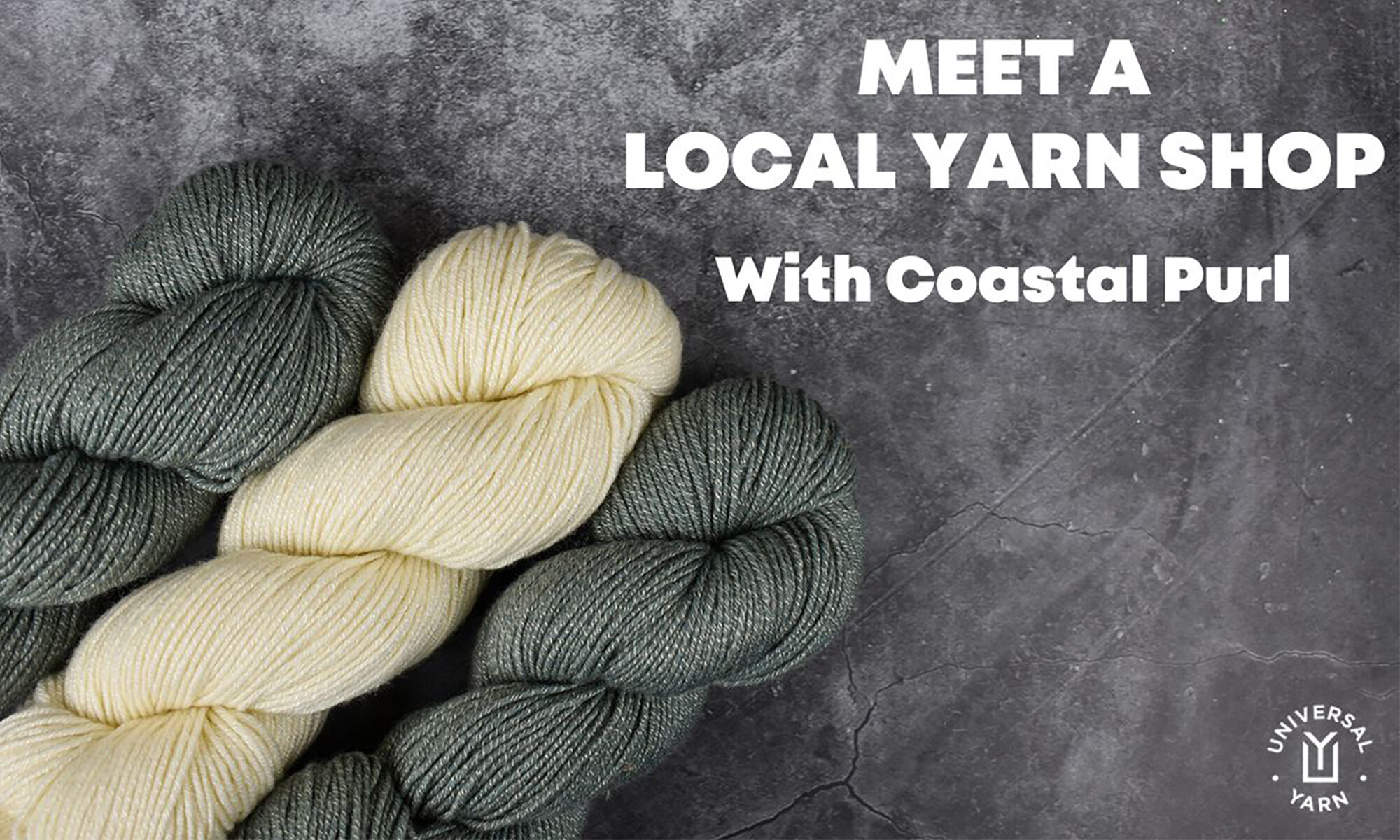 Meet a Local Yarn Shop Coastal Purl Universal Yarn Creative Network