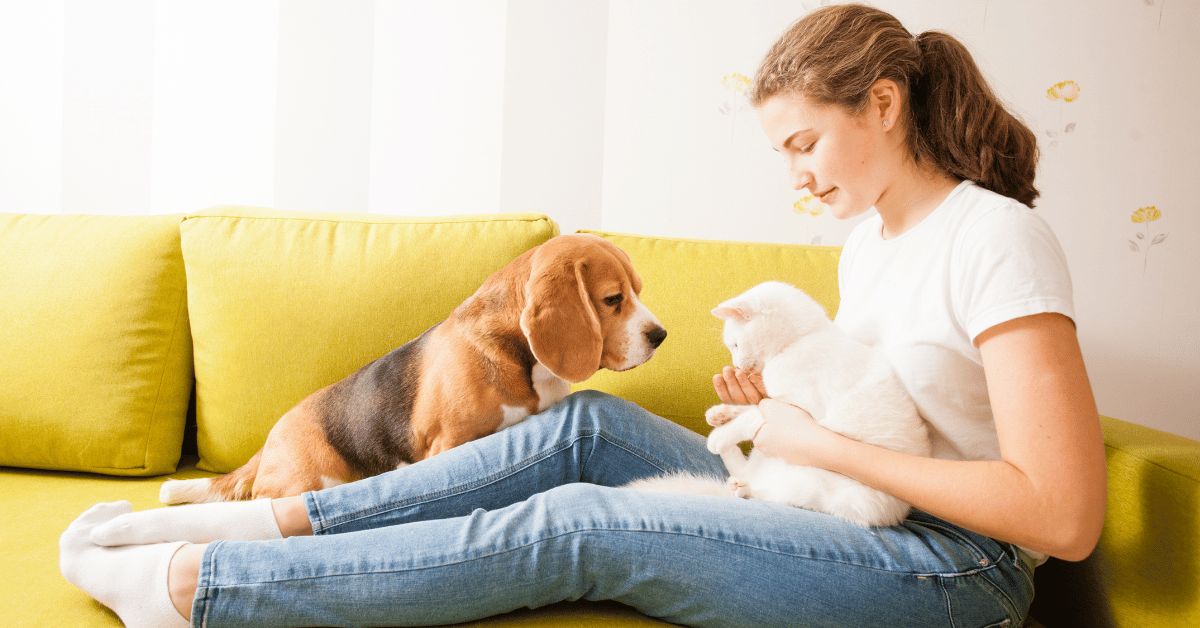 How Much To Pay a House Sitter Average Rates (2024) UrbanSitter