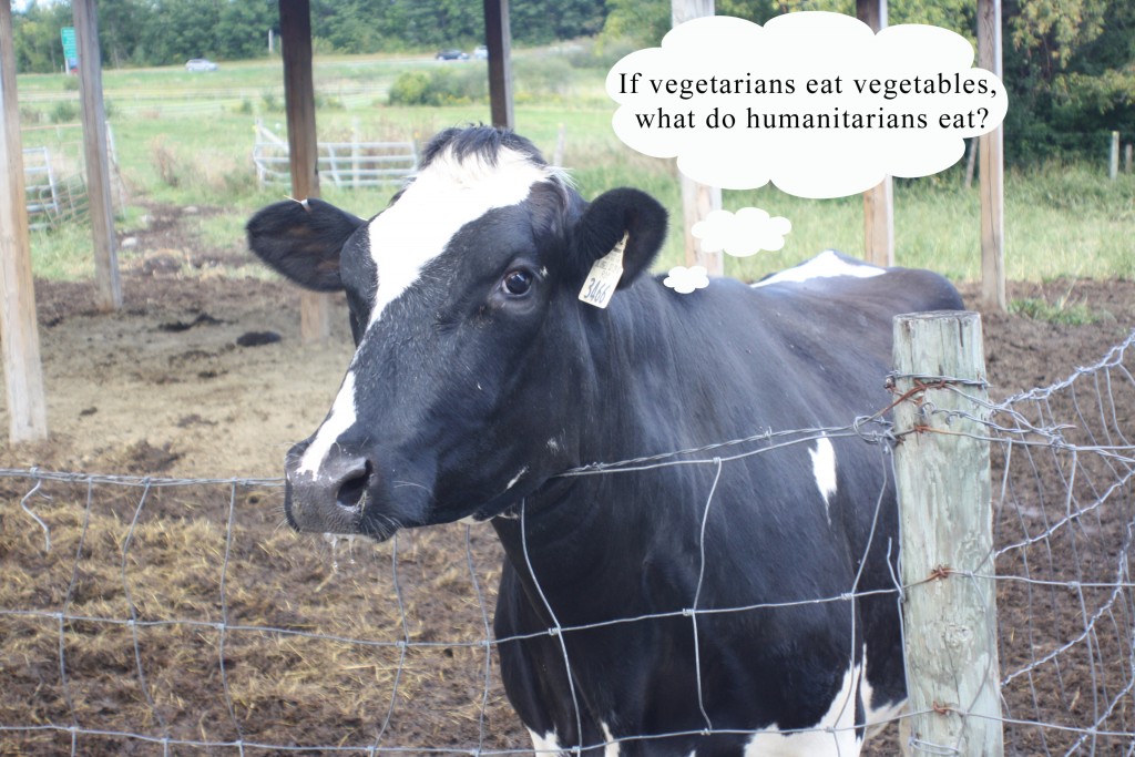 Dr. Julie Smith's Dairy Blog Written by a Dairy Intellectual Person