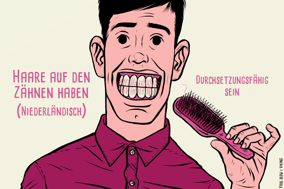 Redewendungen Aus Aller Welt - Viking Blog 800_x_1200_png