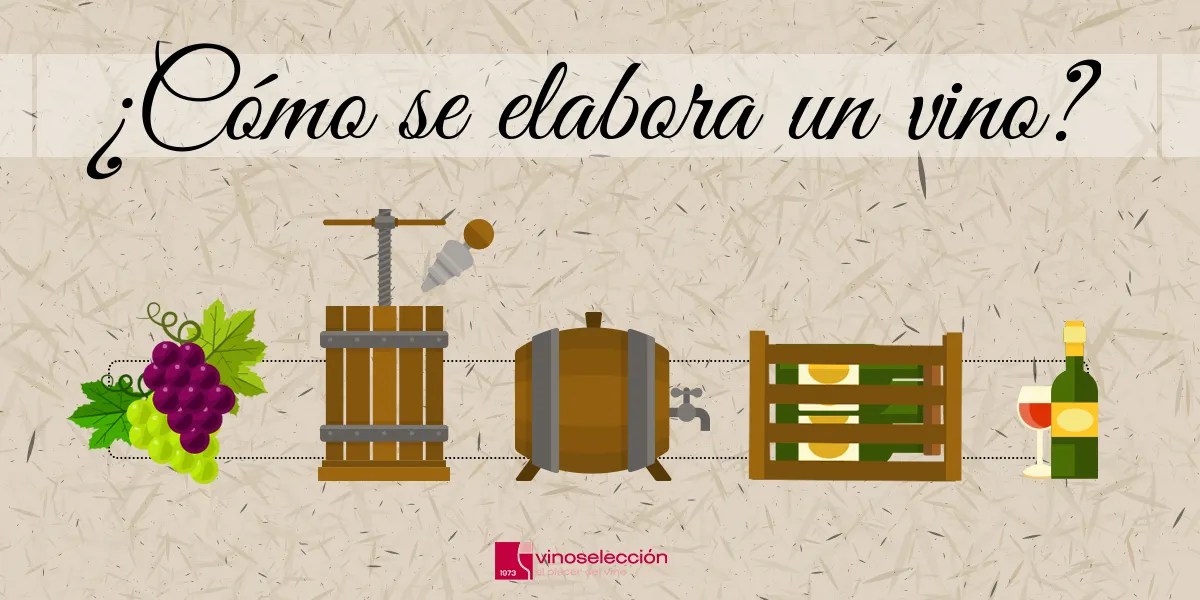 Â¿CÃ³mo se elabora un vino? El Blog de VinoselecciÃ³n