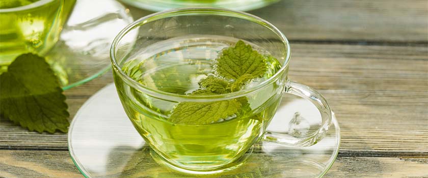 Chá de Hortelã 8 benefícios, como preparar e contraindicações Blog