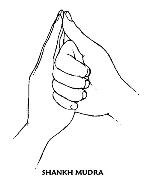 Quinto Chakra Vishuddha (Laríngeo, Garganta) Seu Blog de Yoga