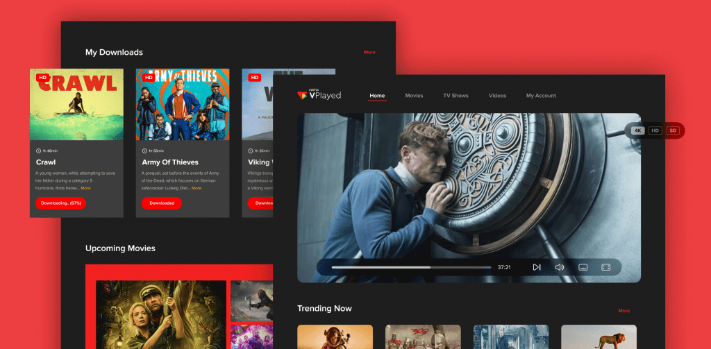 Video Streaming Definition, Meaning & How Does It Work?