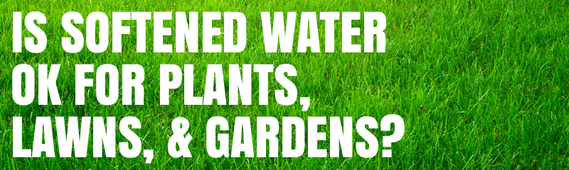 Is softened water OK for plants, lawns & gardens?