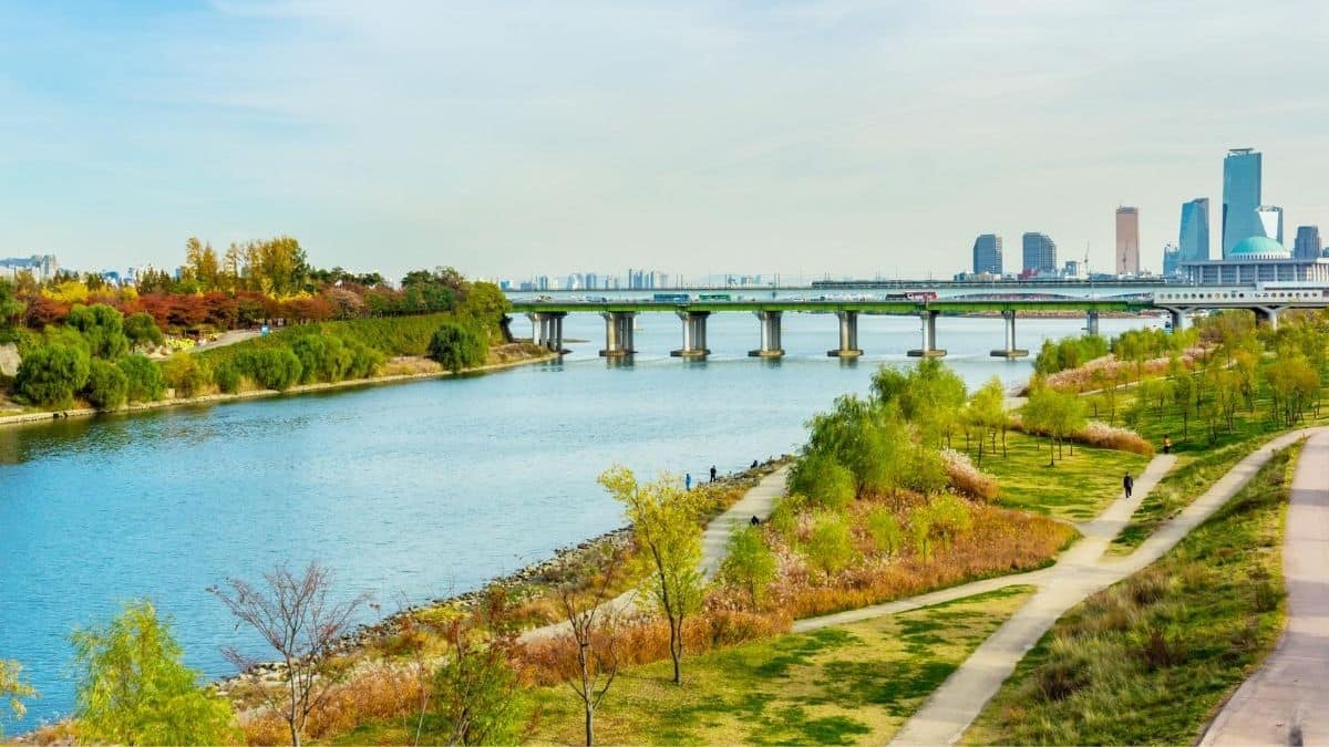 5 Han River & Hangang Park Activities That You Should Try