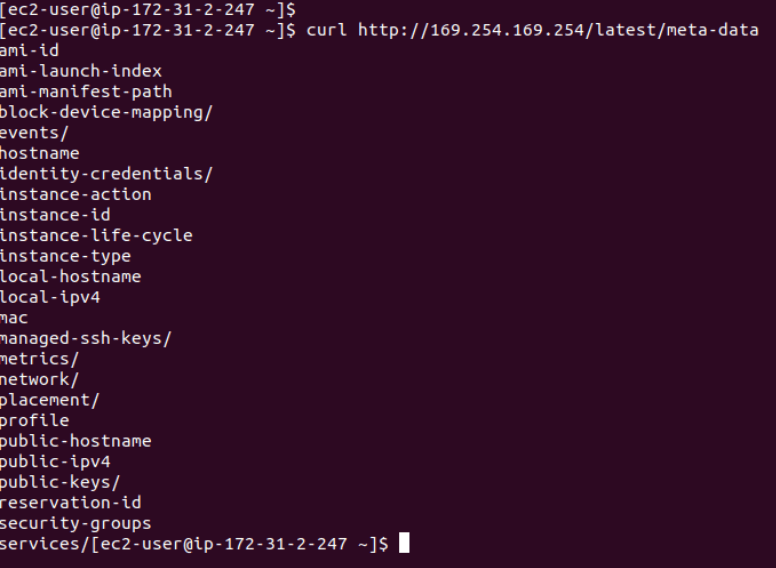 How to Retrieve Metadata of AWS EC2 Machine