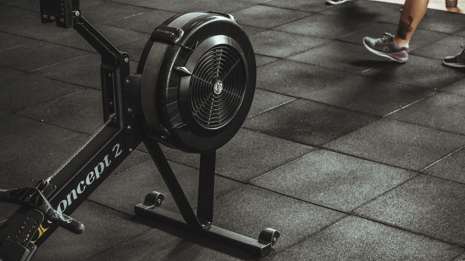 Proform Sport RL Rower Vs Concept 2 - Weight Loss Made Practical