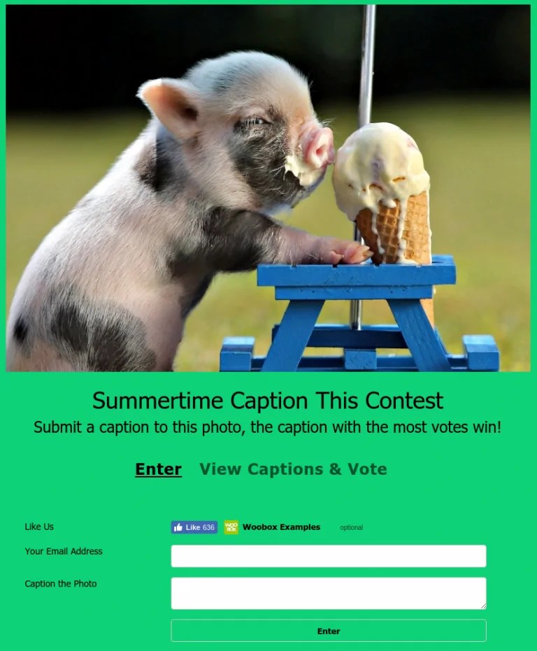 15 Quick and Easy Summer Contest Ideas Woobox Blog