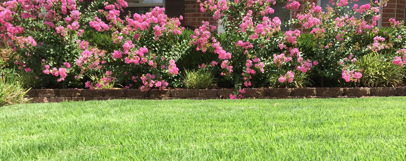 How to Irrigate Your Lawn in Extreme Heat