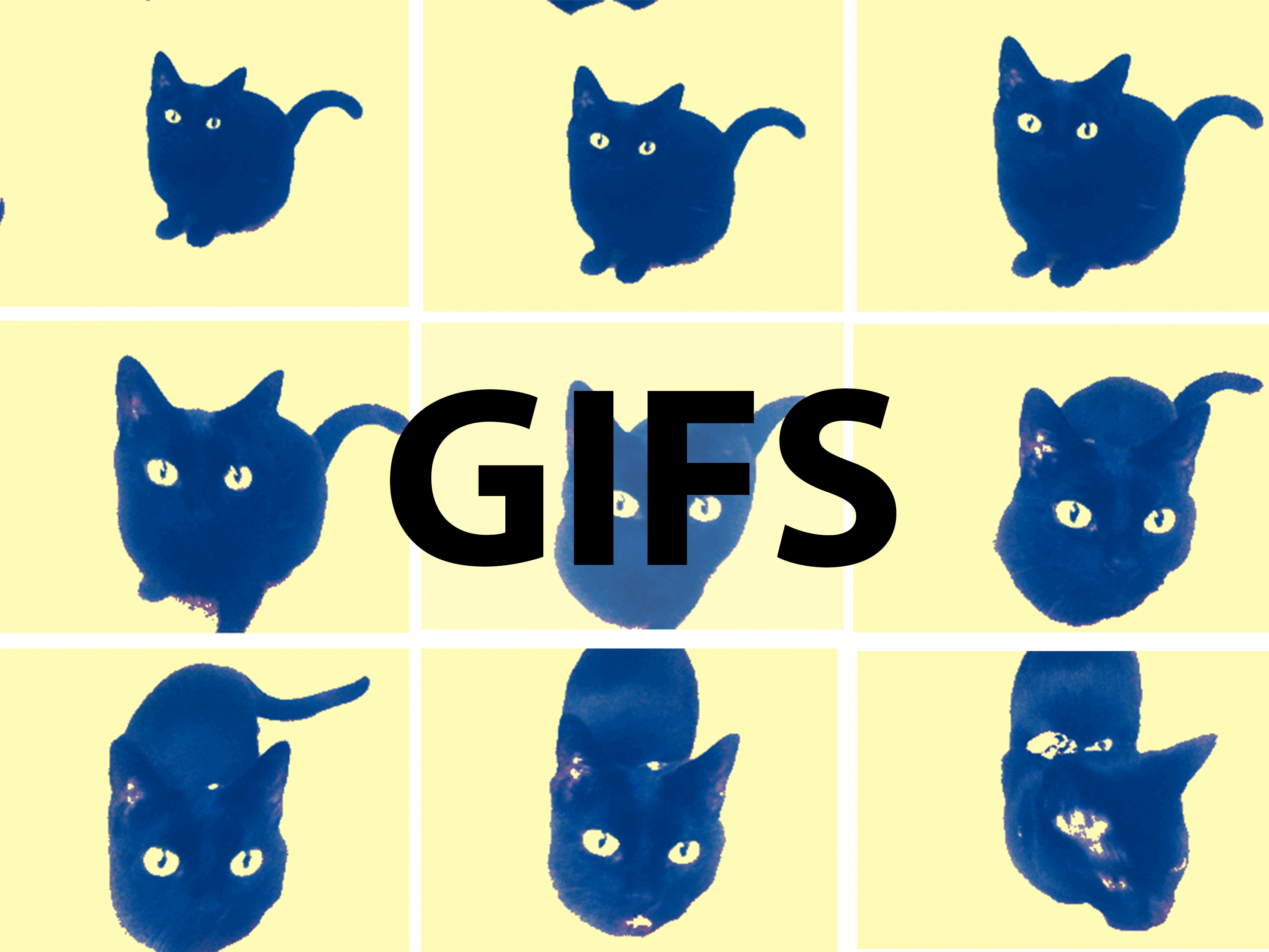 Anleitung Animierte GIF Bilder online erstellen Tutorial für GIFs