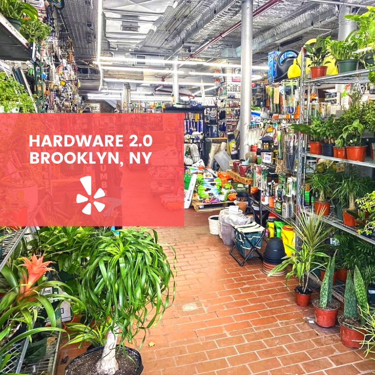 Blackowned plant shops in the U.S. LaptrinhX / News