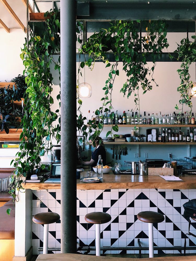 The dreamiest cafes and coffee shops in the U.S. and Canada for plant