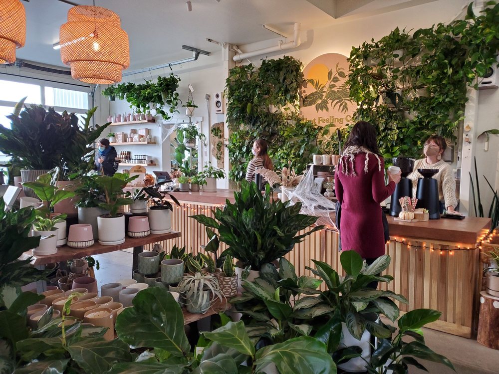 The dreamiest cafes and coffee shops in the U.S. and Canada for plant parents Yelp Official Blog