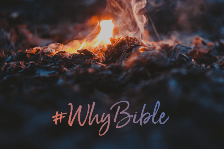 What does the Bible mean to you? YouVersion