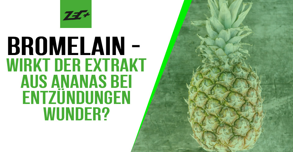 Bromelain Wirkt der Extrakt aus Ananas bei Entzündungen Wunder? Zec+