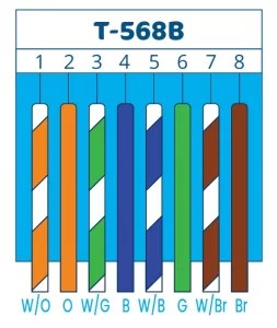 Cat5 Wiring: Navigating the Basics of Network Cabling - Zosi Blog