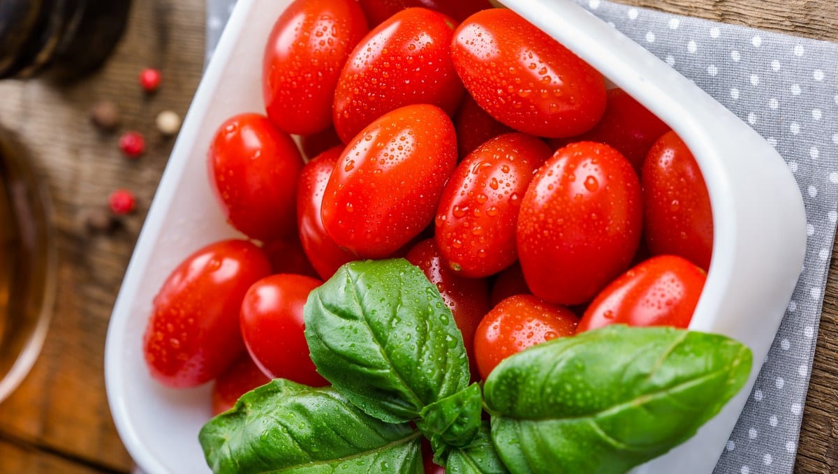 Tomate sweet grape conheça mais sobre essa hortaliça MF Magazine